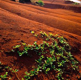 《艾尔登法环》特典书预览图公开 将于明年1月27日发售
